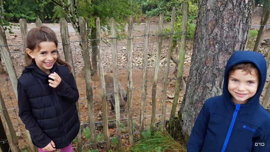 שמורת חיות הפרא האן-סור-לס